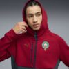 Hoodie PUMATECH Maroc Homme